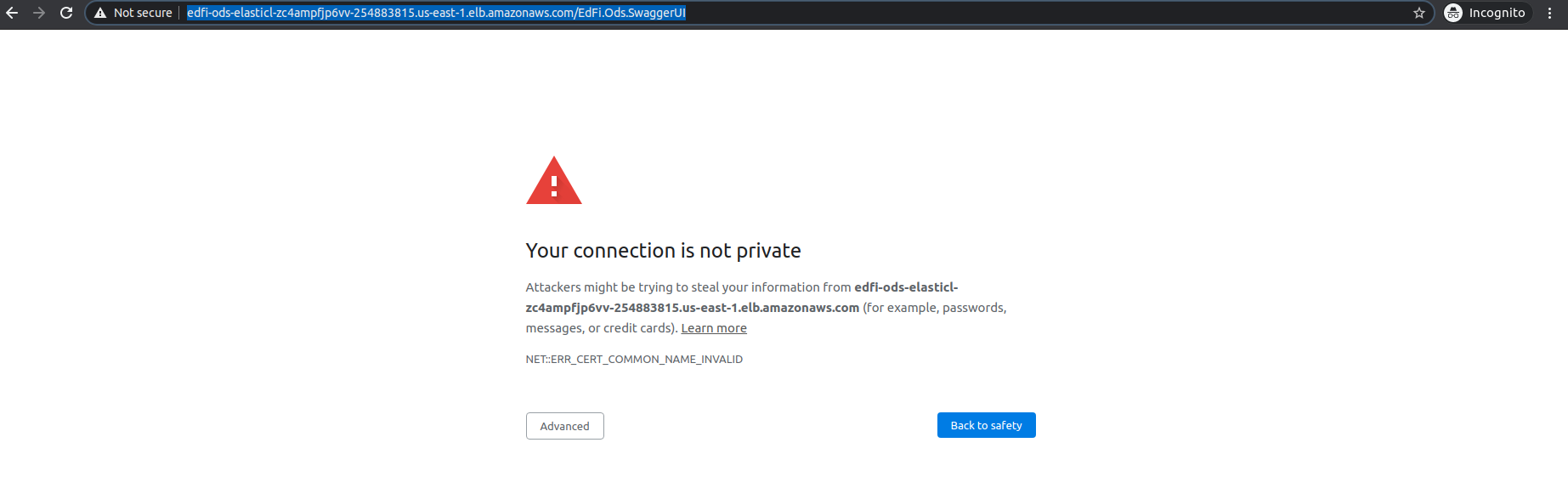 Swagger SSL Non-prod